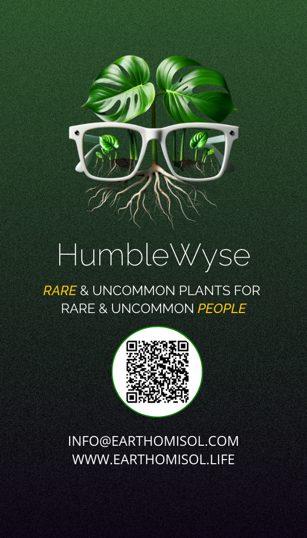 EARTH OMI SOL - GIFT OF LIFE CARD