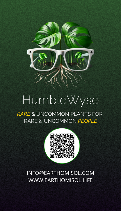 EARTH OMI SOL - GIFT OF LIFE CARD