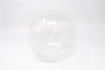 Large Hand-Blown Glass Terrarium with 3 Tillandsia Ionantha Air Plants