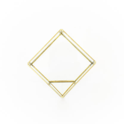 Heptahedron Geometric Glass Terrarium - Gold Metallic Finish - Trendy Holder For Tillandsia Air Plants
